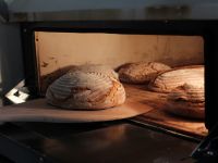 IMG_8882.jpg